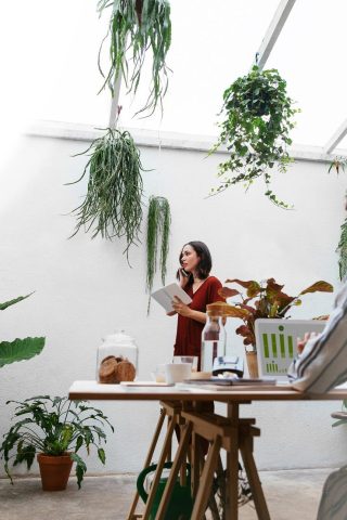 two women in a sunny office full of plants