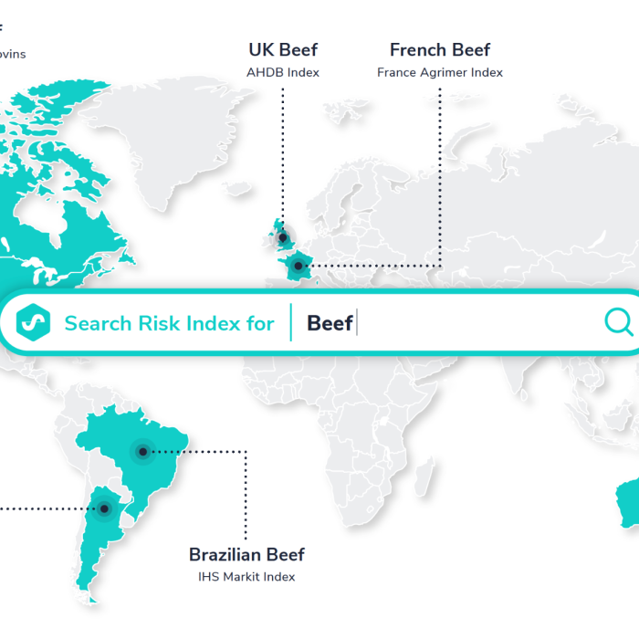 map graphic with beef producer countries highlighted